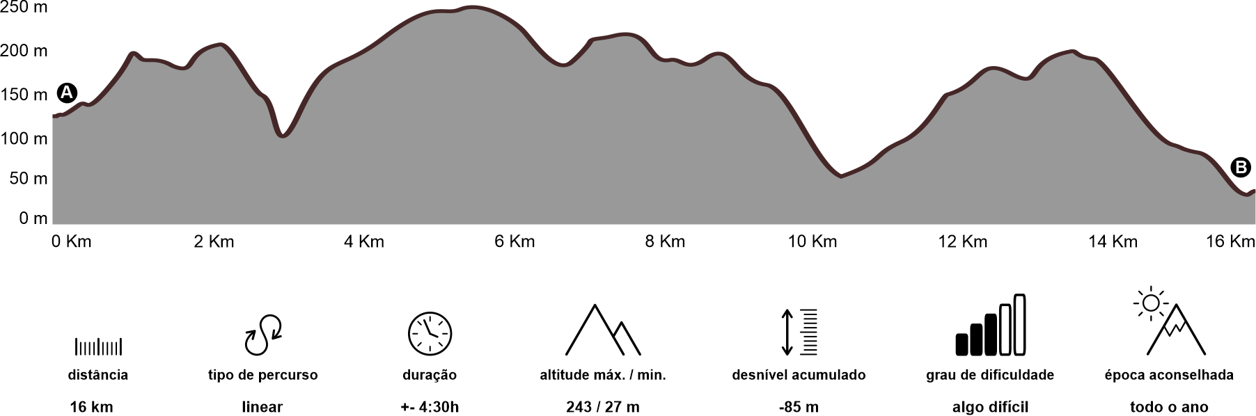 Altimetria
